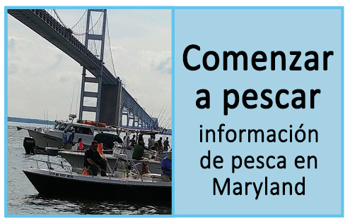 Comenzar a pescar