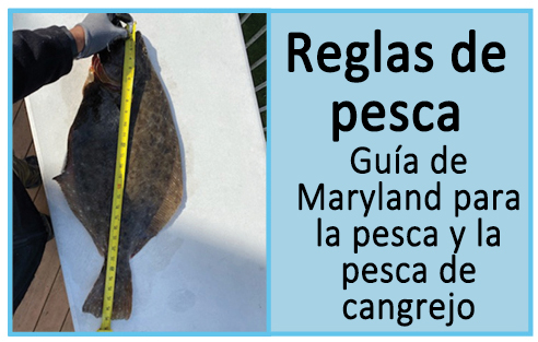 Reglas de pesca
